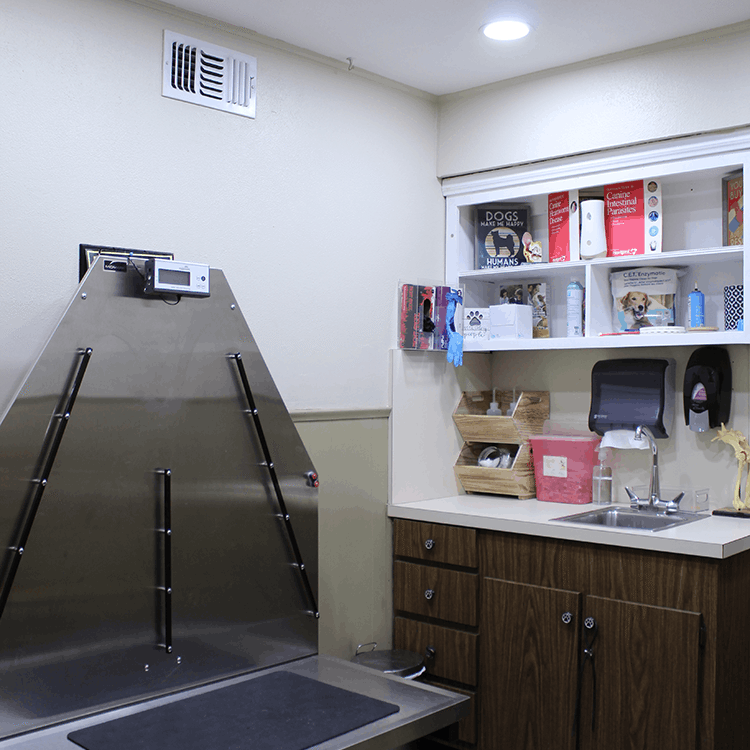 Exam Room
