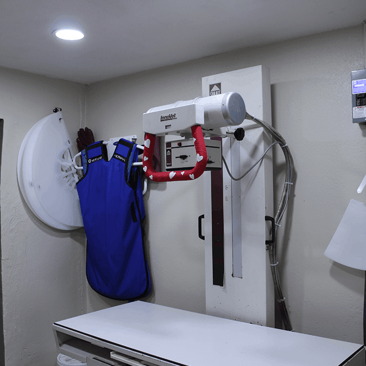 Xray Table